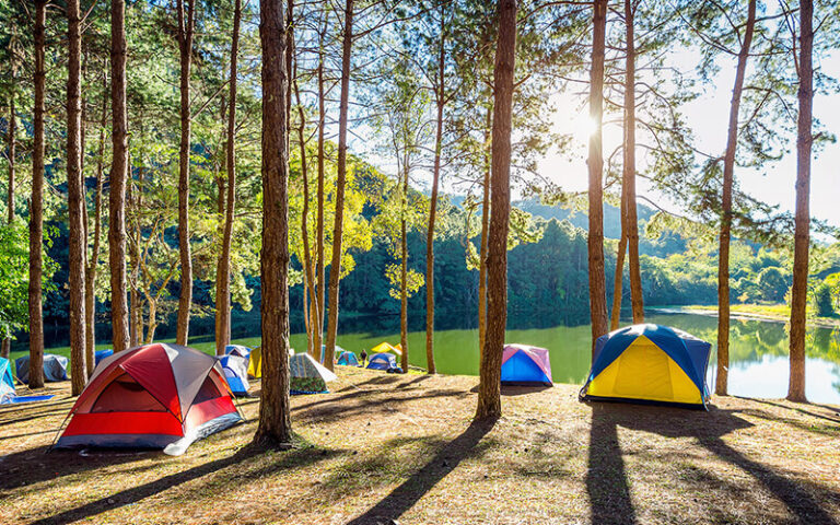 Salon des Tendances Touristiques 2026 - camping plein Air